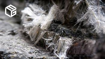 The size and shape of the asbestos fibers may play a role in carcinogenicity