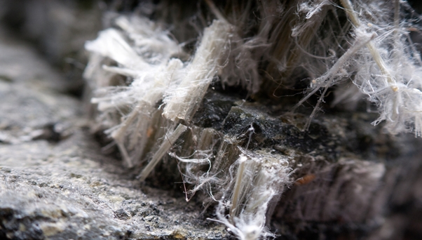 The Size and Shape of the Asbestos Fibers May Play a Role in