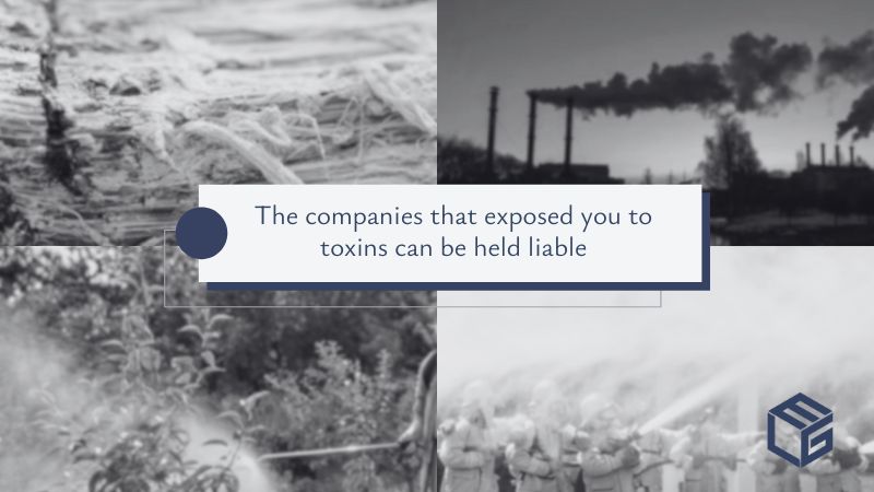  Companies responsible for toxic exposure video