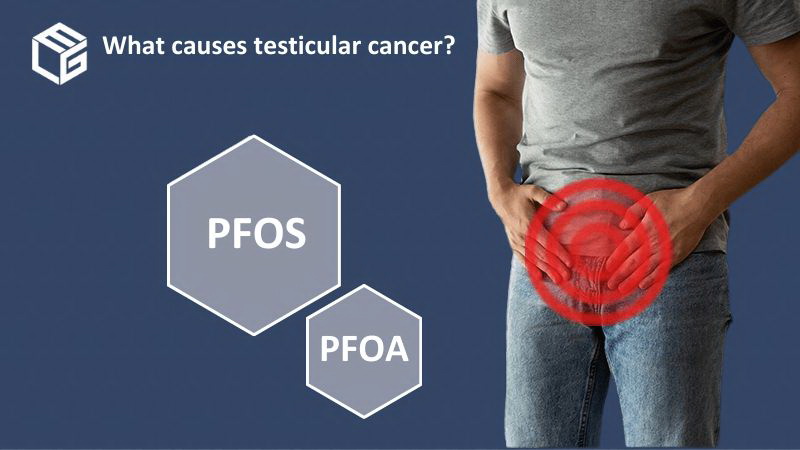 Testicular cancer claims video